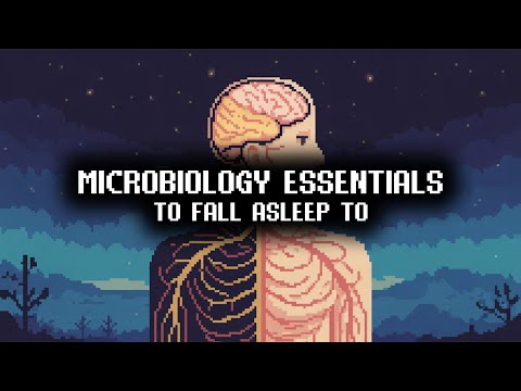 Fundamentals Of Microbiology Sleep Friendly Science