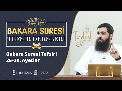 Bakara Suresi Tefsiri 25-29. Ayetler | Halis Bayancuk Hoca