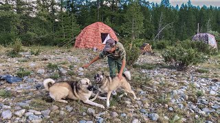 Жизнь В Тайге, Делимся Опытом. Ответим На Ваши Вопросы. Прямой Эфир 16 Декабря 2023 Года