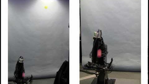 Robotic Two Ball Juggling