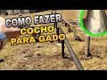 SAIBA COMO FAZER COCHO PARA GADO? | PRAÇA DE ALIMENTAÇÃO NO BORRACHÃO