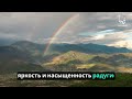 Двойные радуги: понимание редкого появления вторичных радужных дуг