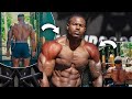 THE 5 PERFECT EXERCISES TO BUILD BIG SHOULDERS | This Is All You Need