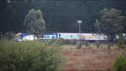 Dead and injured after train crash in Australia