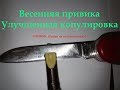 Весенняя прививка, улучшенная копулировка