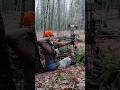 Bowhunting from the ground for begginers [ Natural Ground Blind ]