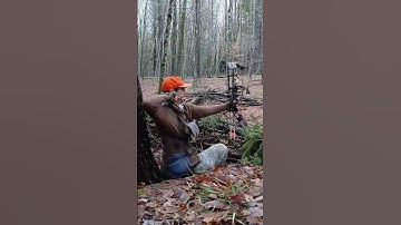 Bowhunting from the ground for begginers [ Natural Ground Blind ]