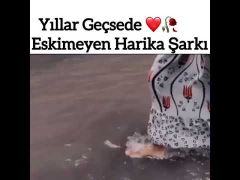 Bilsen şimdi neredeyim...