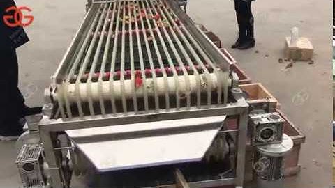 Strawberry Sorting/Grading Machine|Plums Dates Grading Equipment