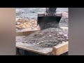 🚩How is coal mined? Big Truck CAT