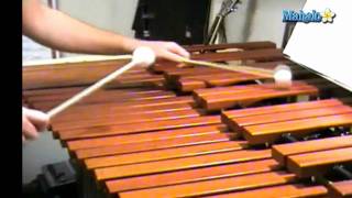 How to Play Xylophone for Beginners screenshot 5