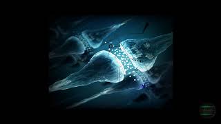 - GALANTAMINE - Binaural Nootropics (Enhanced Cognitive Functions, Sleep Quality)