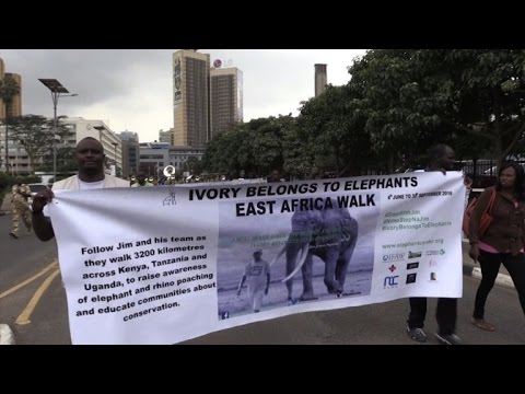 Wideo: Kiedy kość słoniowa została zakazana w nas?