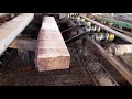 máquina da serraria precisão no corte de madeira!