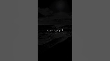الم يجدك يتيما فـَٔاوى | محمد صديق المنشاوي | سورة الضحى