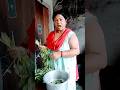 je chelar barir rasta kharab sai chela bhalo hoi ki kore...#comedy#funnyvideo#😳😂😂#shorts#arunkarmo.#
