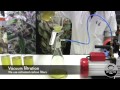 CBD rich medical marijuana oil extraction with absolute Ethanol by Dinafem Seeds CBD rich medical marijuana oil extraction with absolute Ethanol by Dinafem Seeds
