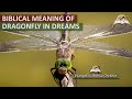 Biblical Meaning of DRAGONFLY in Dreams - Prophetic Meaning of Dragonflies