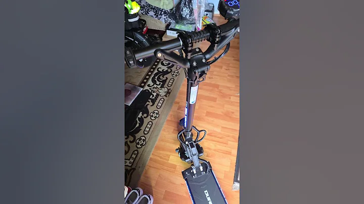 Dualtron mini special long body