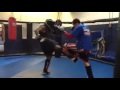 Western long boxing sparring smaller opponents