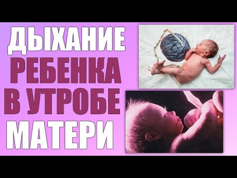 Видео: Как дети дышат в утробе матери?