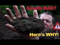 Why Your Soil Smells Bad—and What It’s Trying to Tell You