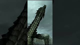ДРАКОНЫ И ПЕРЕИЗДАНИЯ SKYRIM #скайрим #tes5skyrim #tesvskyrim #bethesda #game #videogame #игра #игры