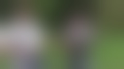 FosTech Binary, the closest thing to full auto