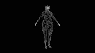 Wireframe Body