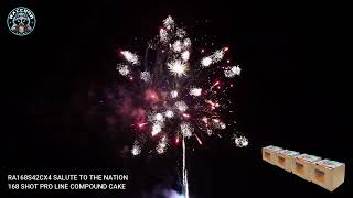 Raccoon Fireworks 1.4G Pro Line Compound Cake RA168S42CX4 SALUTE TO THE NATION