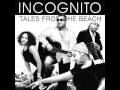 Incognito - Love Joy Understanding