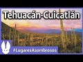 Reserva de la biosfera Tehuacán-Cuicatlán