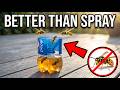 The "Forbidden" Amish WASP Trap Pest Control Companies Don't Want You To Know About