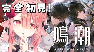 しづきにあ / Shizuki Niaの配信のサムネイル画像