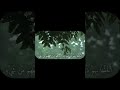 صدقة جارية لروح خالتي... | سورة الطور: 21 | القارئ: #حسين_العزام