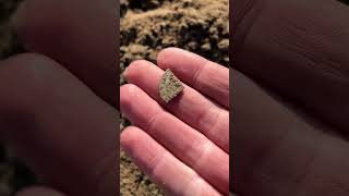 Found Cut Spanish Silver While Metal Detecting