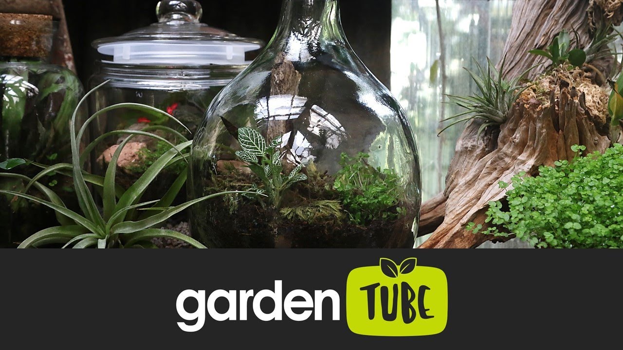 Plant Your Own Terrarium Bottle - YouTube