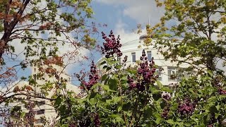 Весенний Воронеж...Spring Voronezh, Russia