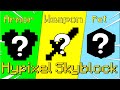 Armor? Weapon? Pet? Early-Mid-Late| Hypixel Skyblock