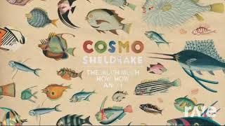 Things Suit - Cosmo Sheldrake & Chill Beatz | RaveDj