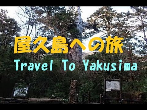 屋久島(鹿児島県)への旅/YAKUSHIMA(Kagoshima)