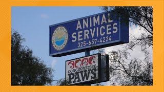 Fallout continues after San Angelo animal shelter changes intake policy
