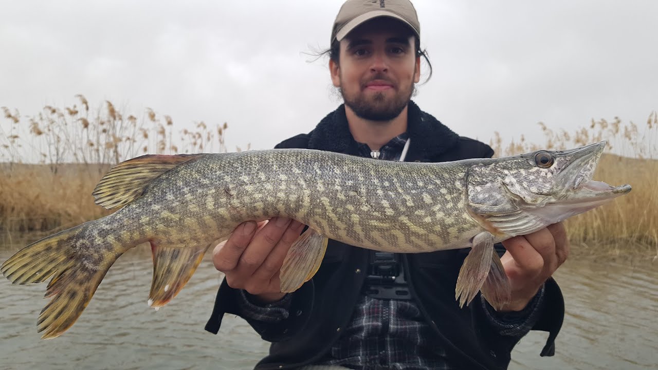 TURNA AVI SEZON AÇILIŞI | BİM SAHTESİ, SAVAGE GEAR, STRİKE PRO, MEPS...