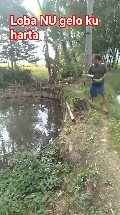 hayu dulur gera cager #shortvideo #ngasimakanikan#trending