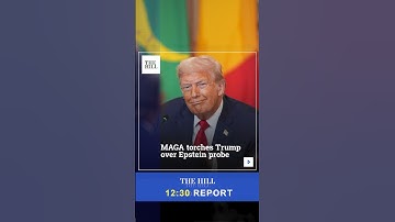 MAGA Torches Trump Over Epstein Probe