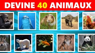 Devine 40 ANIMAUX en 5 secondes ! 🐶🦈🦁| Quiz Animaux #quiz #animaux #quizanimal