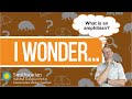 I Wonder - What is an amphibian?