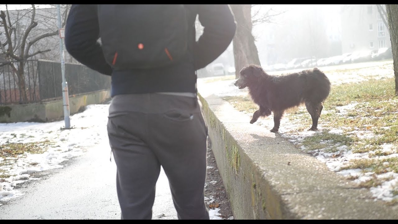 A legfontosabb mozgásforma mindörökké