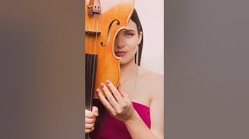 Aurora for Viola. Larsen Strings of Denmark.
