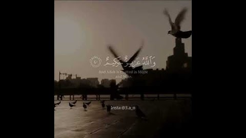 لا تحزن ان الله معنا - اجمل حالات واتس اب قران كريم بصوت جميل جدا